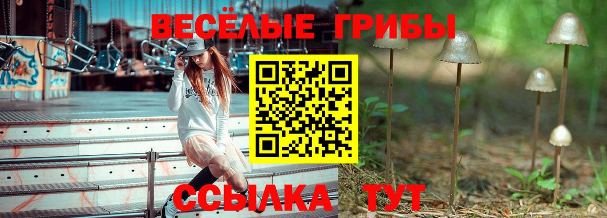 Псилоцибиновые грибы мицелий Качканар