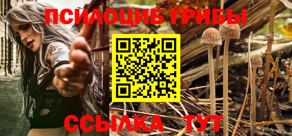Качканар  Галлюциногенные грибы мицелий  Вход с VPN 